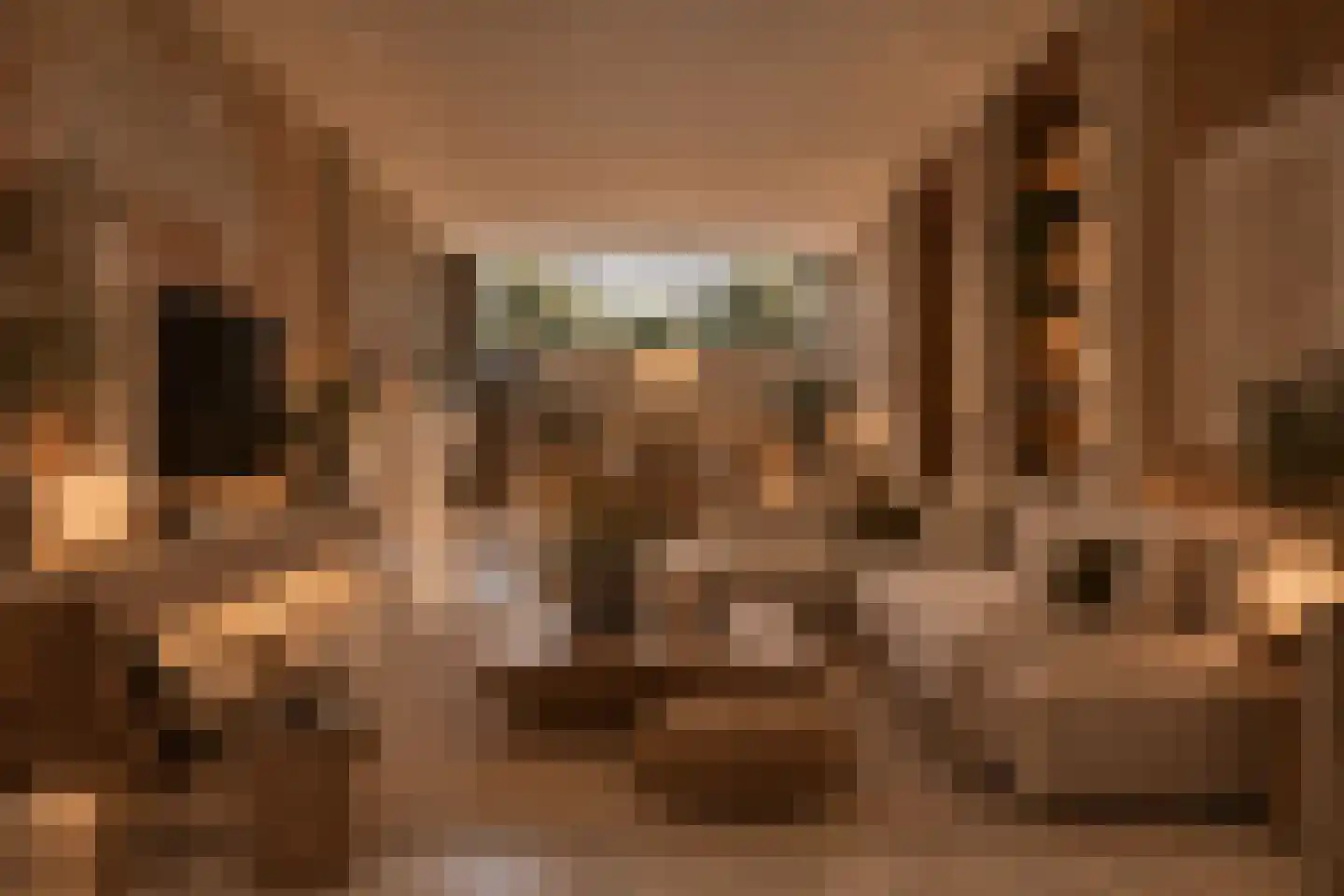 Provenierssingel 63 B Rotterdam thumbnail 40