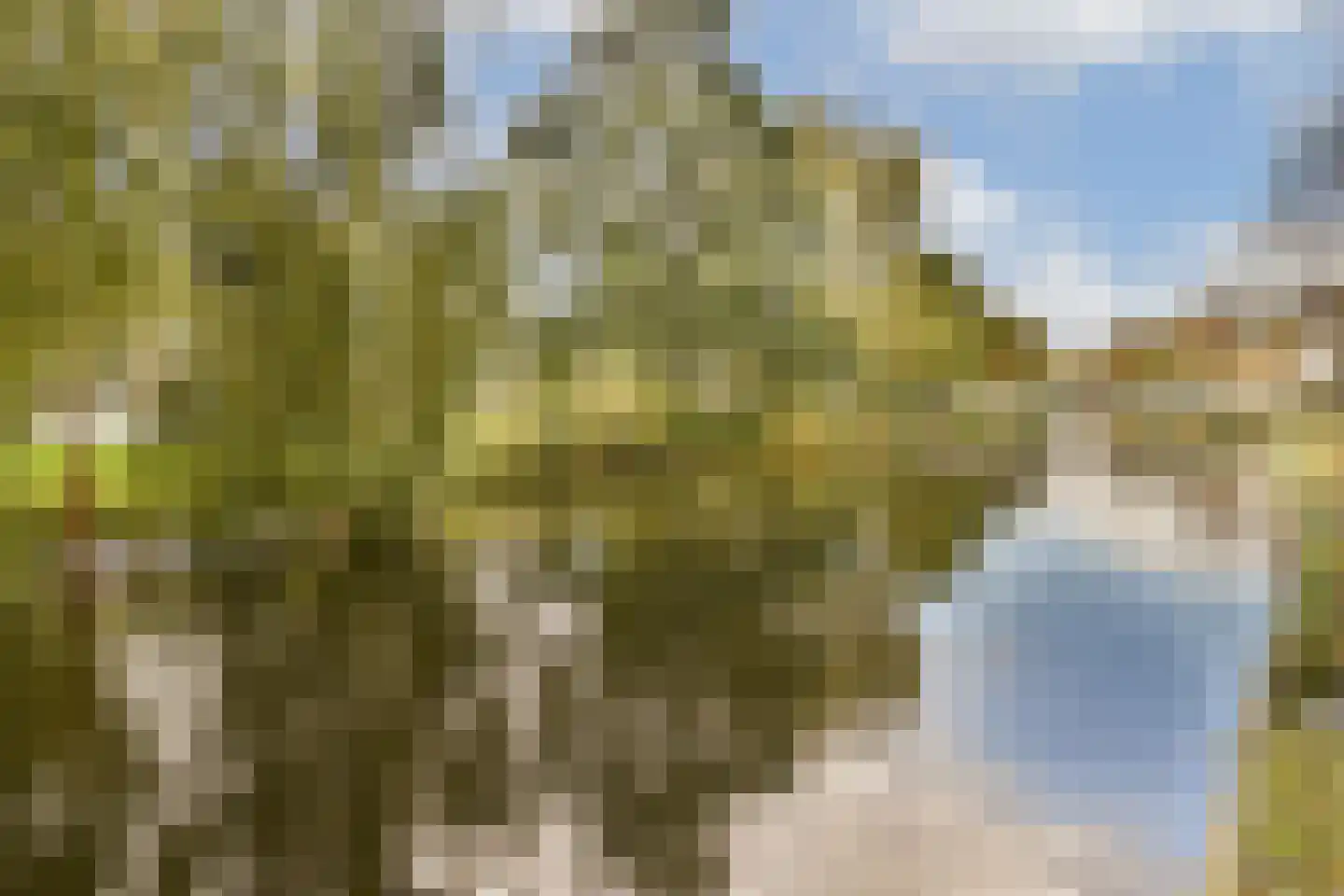 Provenierssingel 63 B Rotterdam thumbnail 42