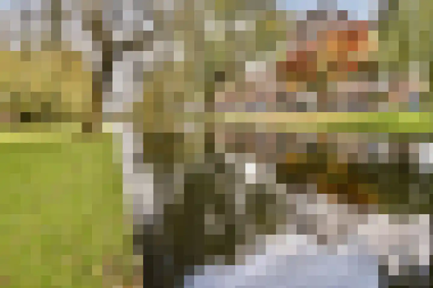 Provenierssingel 63 B Rotterdam thumbnail 43