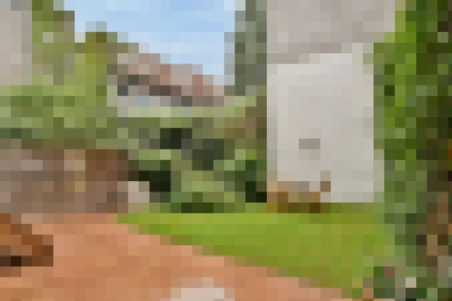 Provenierssingel 63 B Rotterdam thumbnail 5