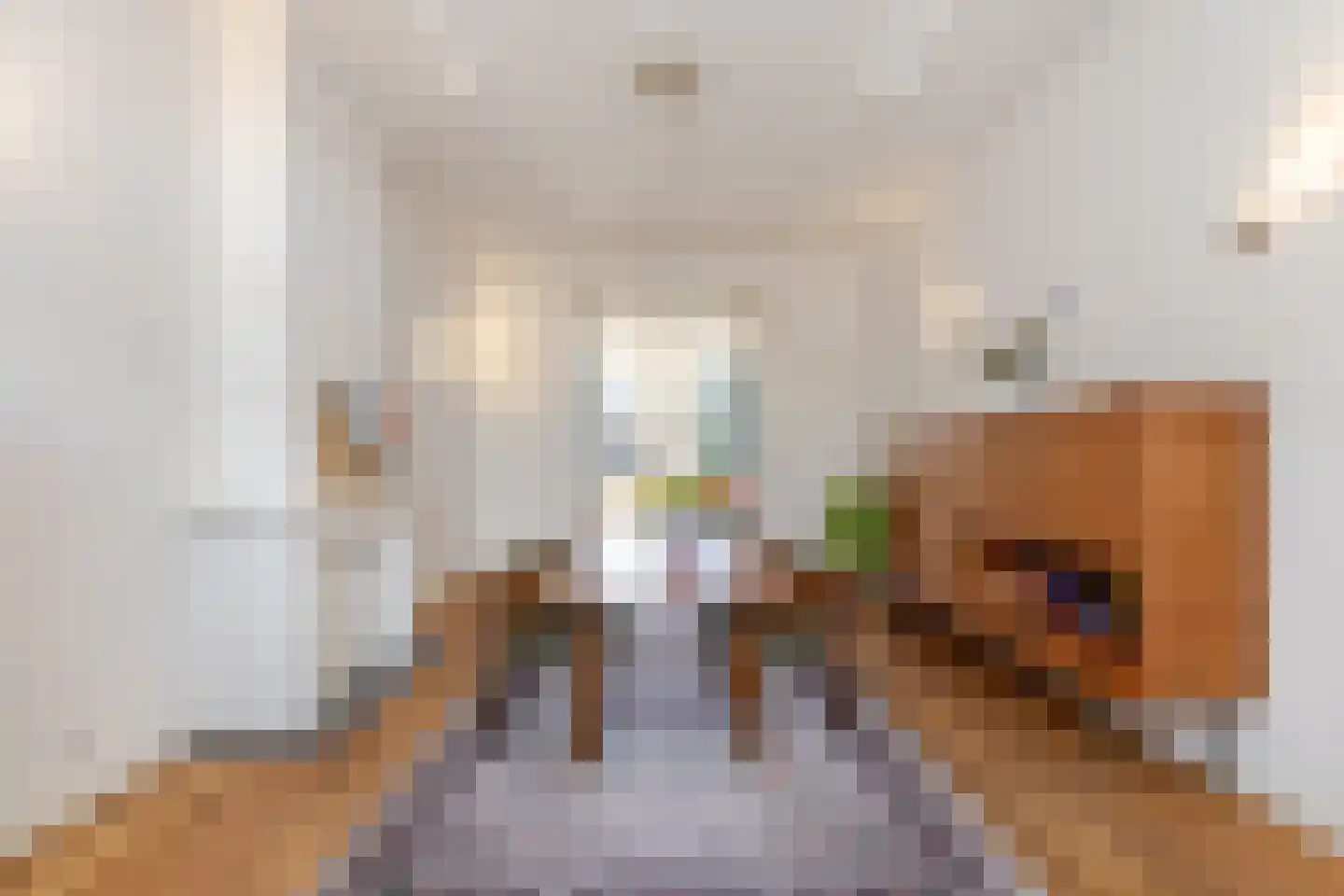 Provenierssingel 65 B 02 Rotterdam thumbnail 13