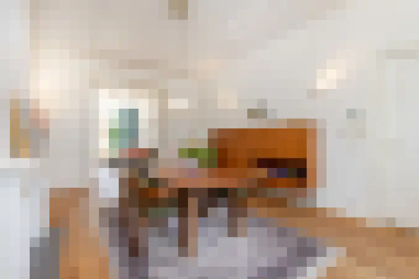 Provenierssingel 65 B 02 Rotterdam thumbnail 14