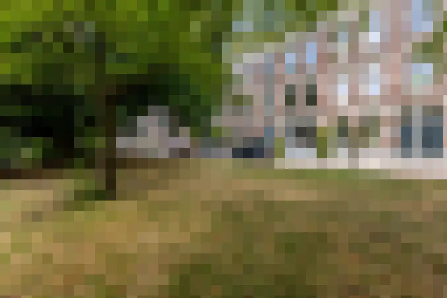 Provenierssingel 65 B 02 Rotterdam thumbnail 31