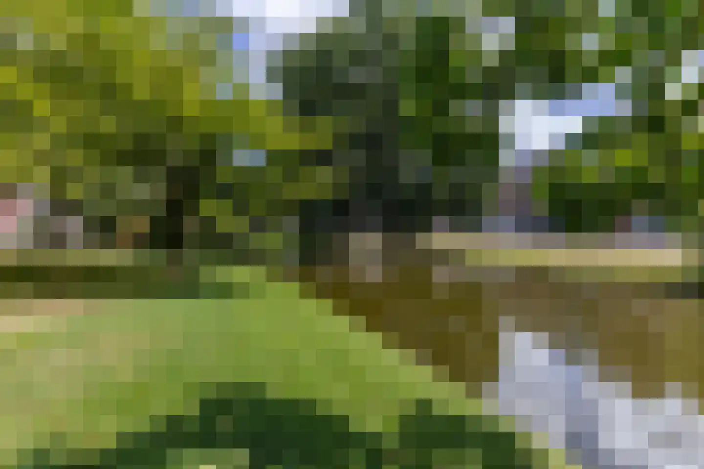 Provenierssingel 65 B 02 Rotterdam thumbnail 32