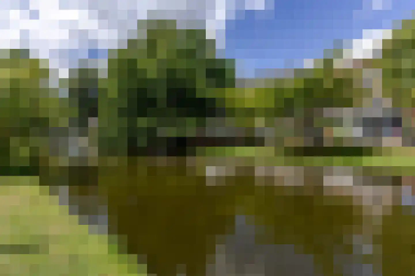 Provenierssingel 65 B 02 Rotterdam thumbnail 34