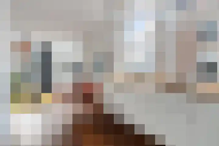 Provenierssingel 71 A 01 Rotterdam thumbnail 14