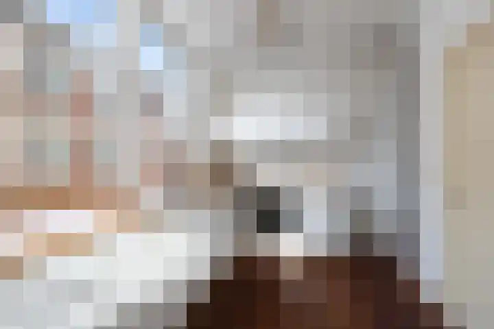 Provenierssingel 71 A 01 Rotterdam thumbnail 15