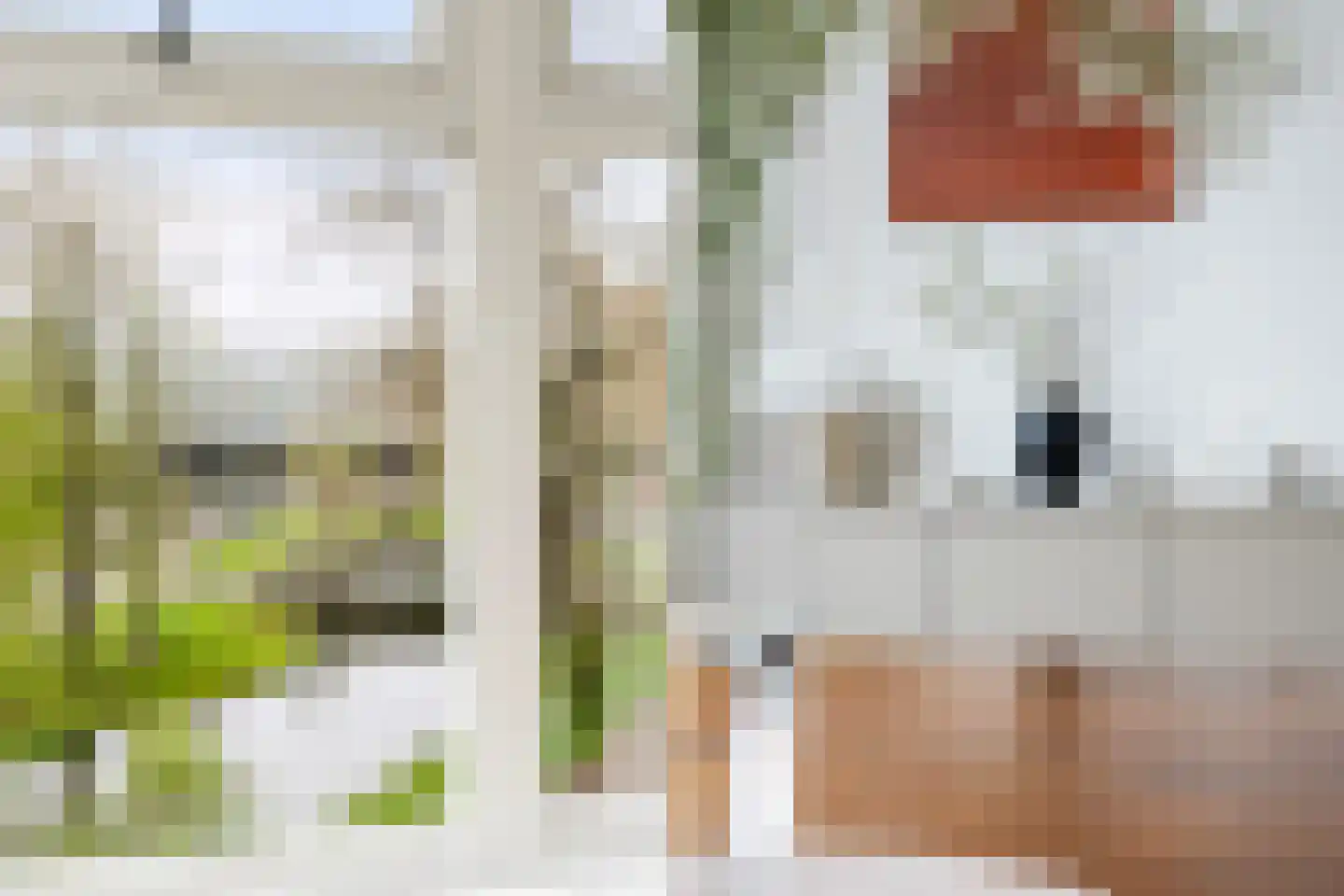 Provenierssingel 71 A 01 Rotterdam thumbnail 17
