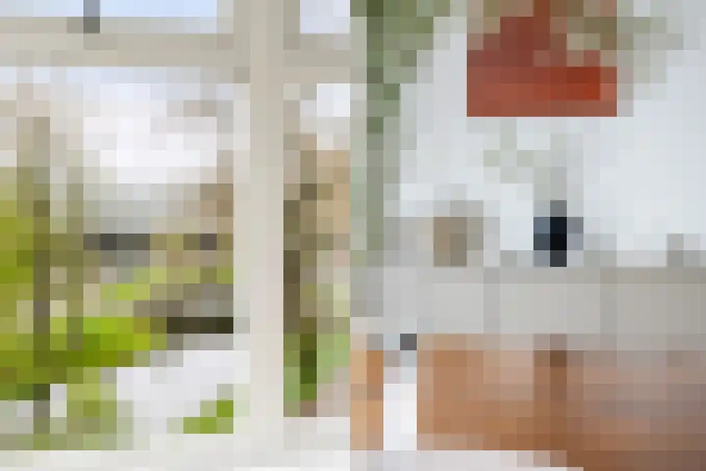 Provenierssingel 71 A 01 Rotterdam thumbnail 17