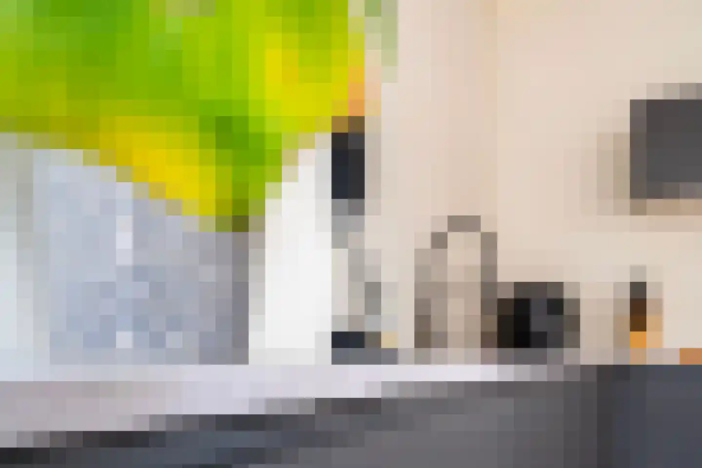 Provenierssingel 71 A 01 Rotterdam thumbnail 38