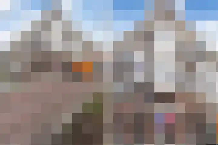 Provenierssingel 71 A 01 Rotterdam thumbnail 39