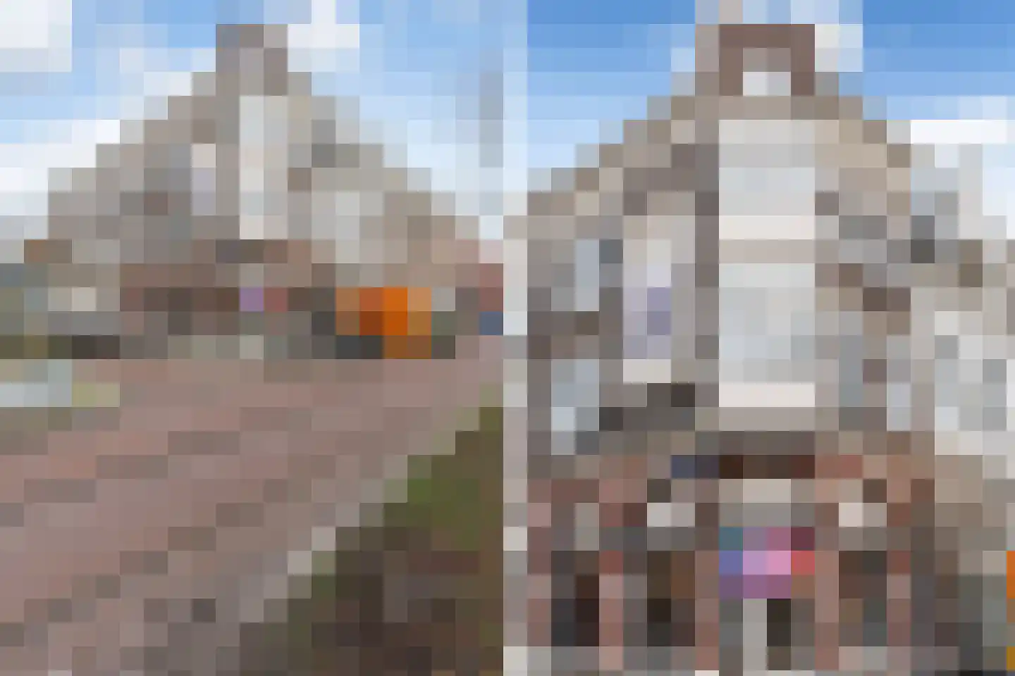 Provenierssingel 71 A 01 Rotterdam thumbnail 39