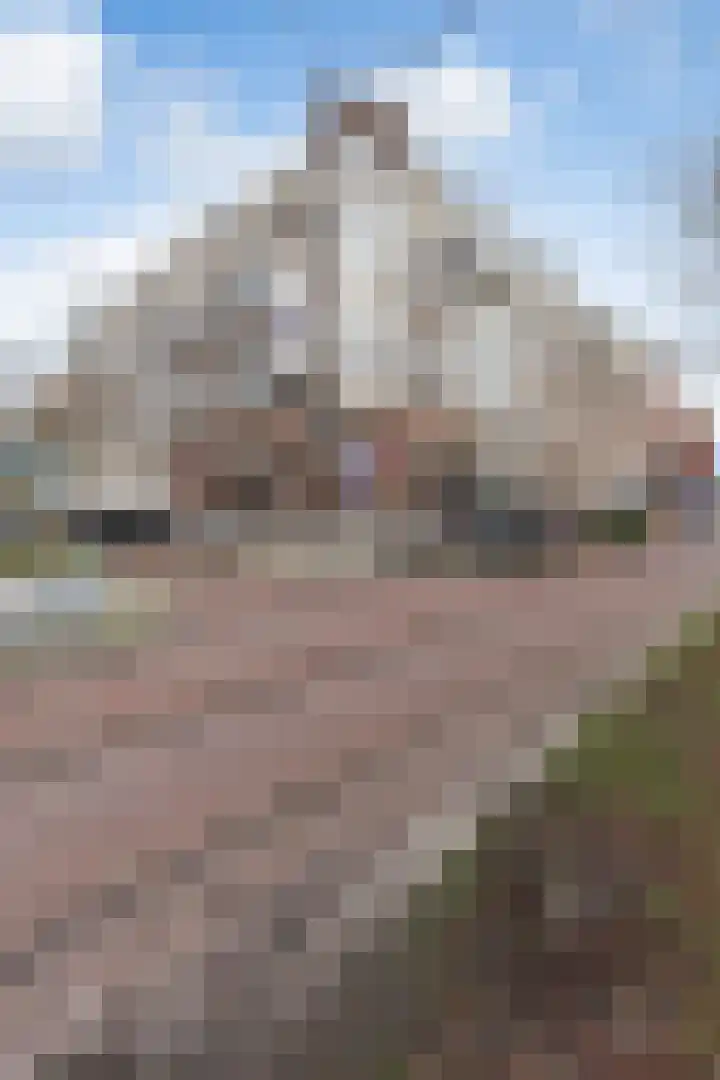 Provenierssingel 71 A 01 Rotterdam thumbnail 40