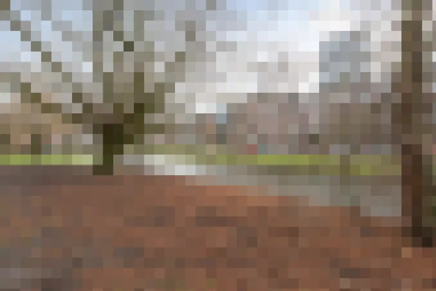 Provenierssingel 71 A 01 Rotterdam thumbnail 41