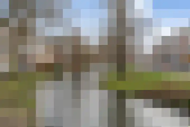 Provenierssingel 71 A 01 Rotterdam thumbnail 42