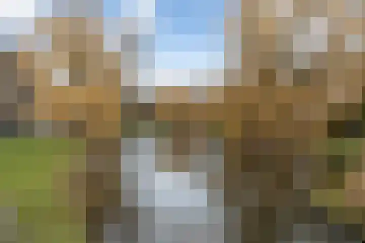 Provenierssingel 71 A 01 Rotterdam thumbnail 43