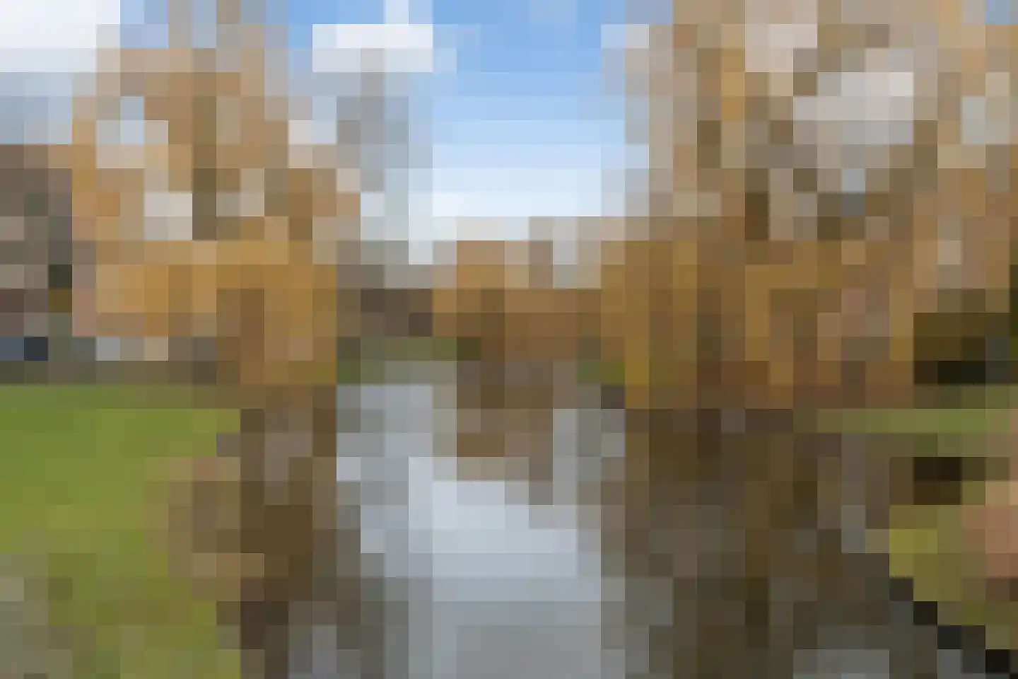 Provenierssingel 71 A 01 Rotterdam thumbnail 43