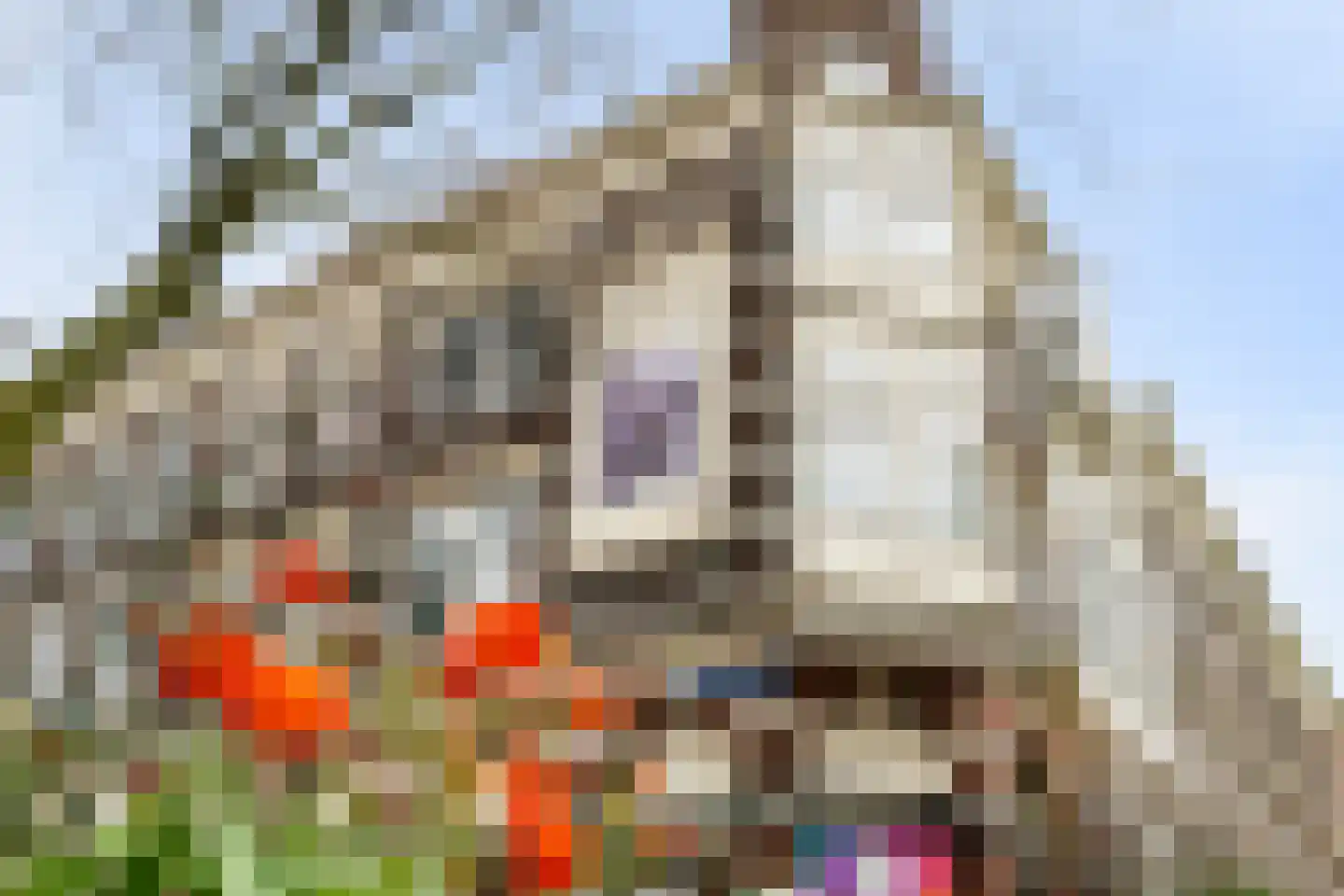 Provenierssingel 71 A 01 Rotterdam thumbnail 57