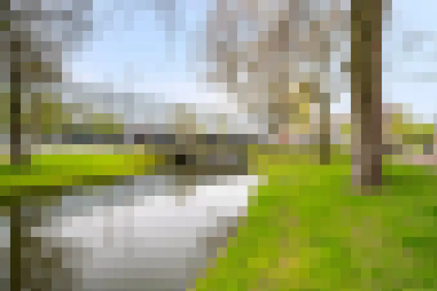 Provenierssingel 71 A 01 Rotterdam thumbnail 62