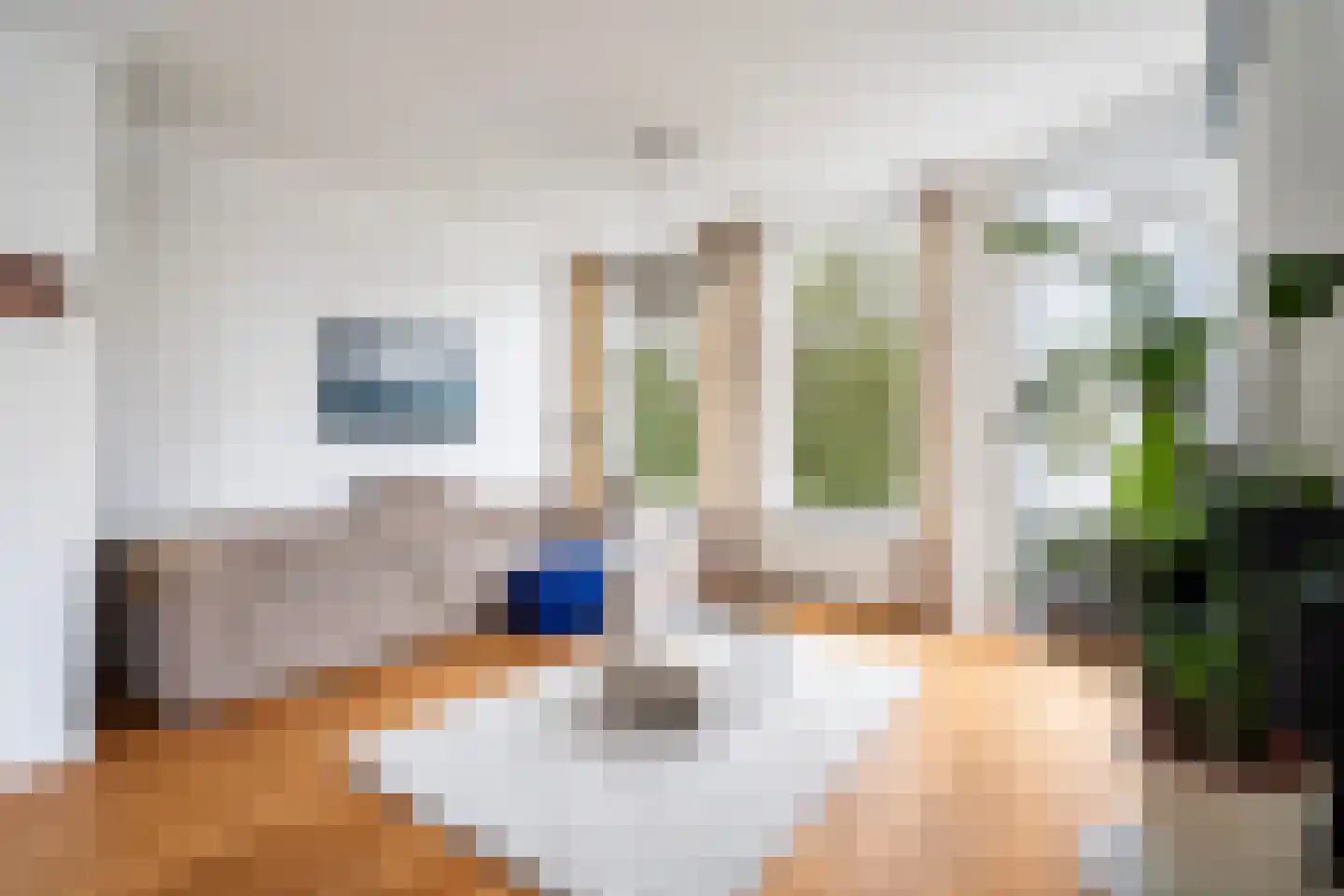 Provenierssingel 71 A 01 Rotterdam thumbnail 7