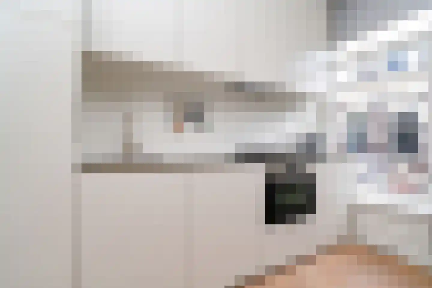 Provenierssingel 73 B 02A Rotterdam thumbnail 13