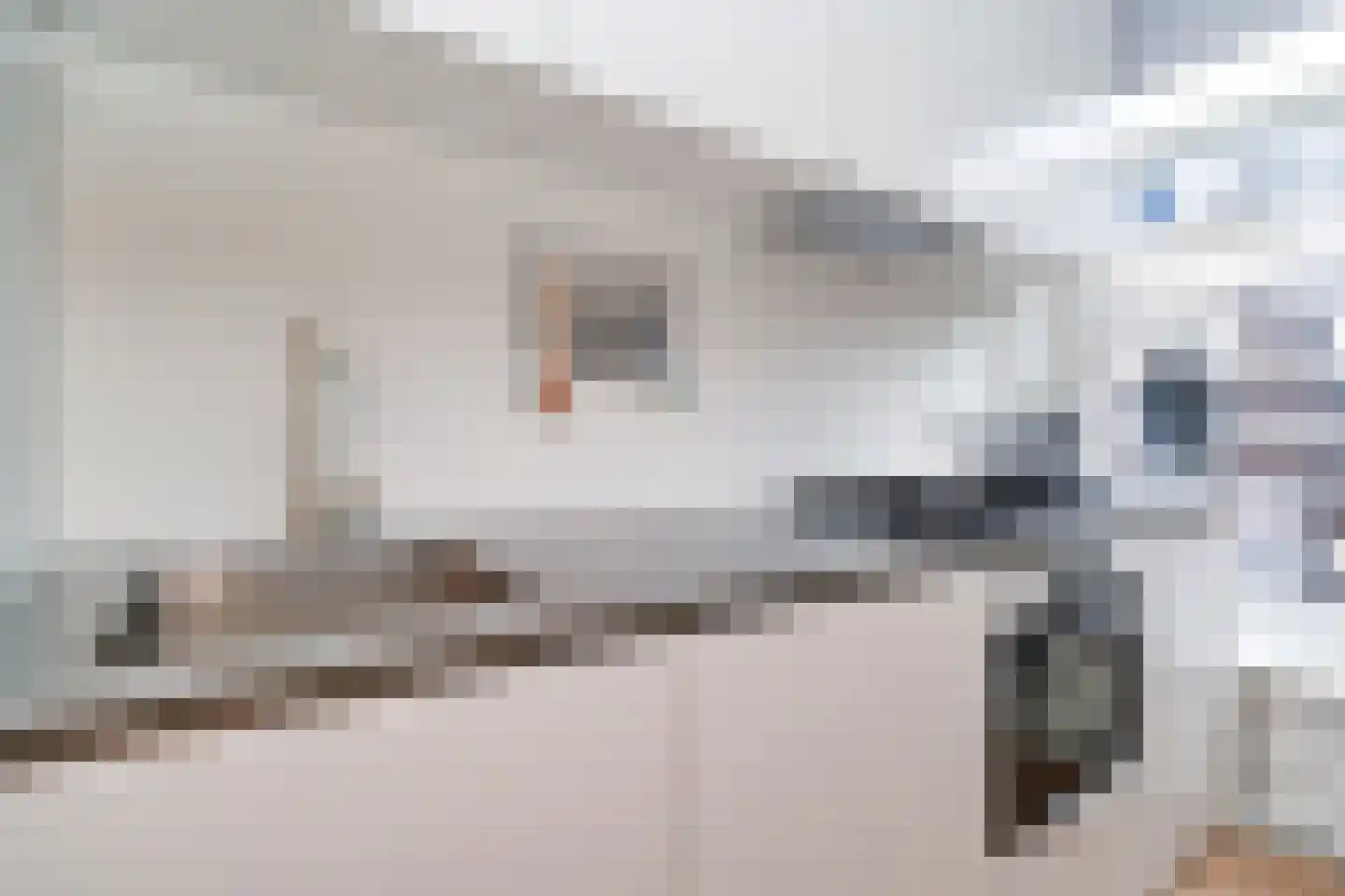 Provenierssingel 73 B 02A Rotterdam thumbnail 15