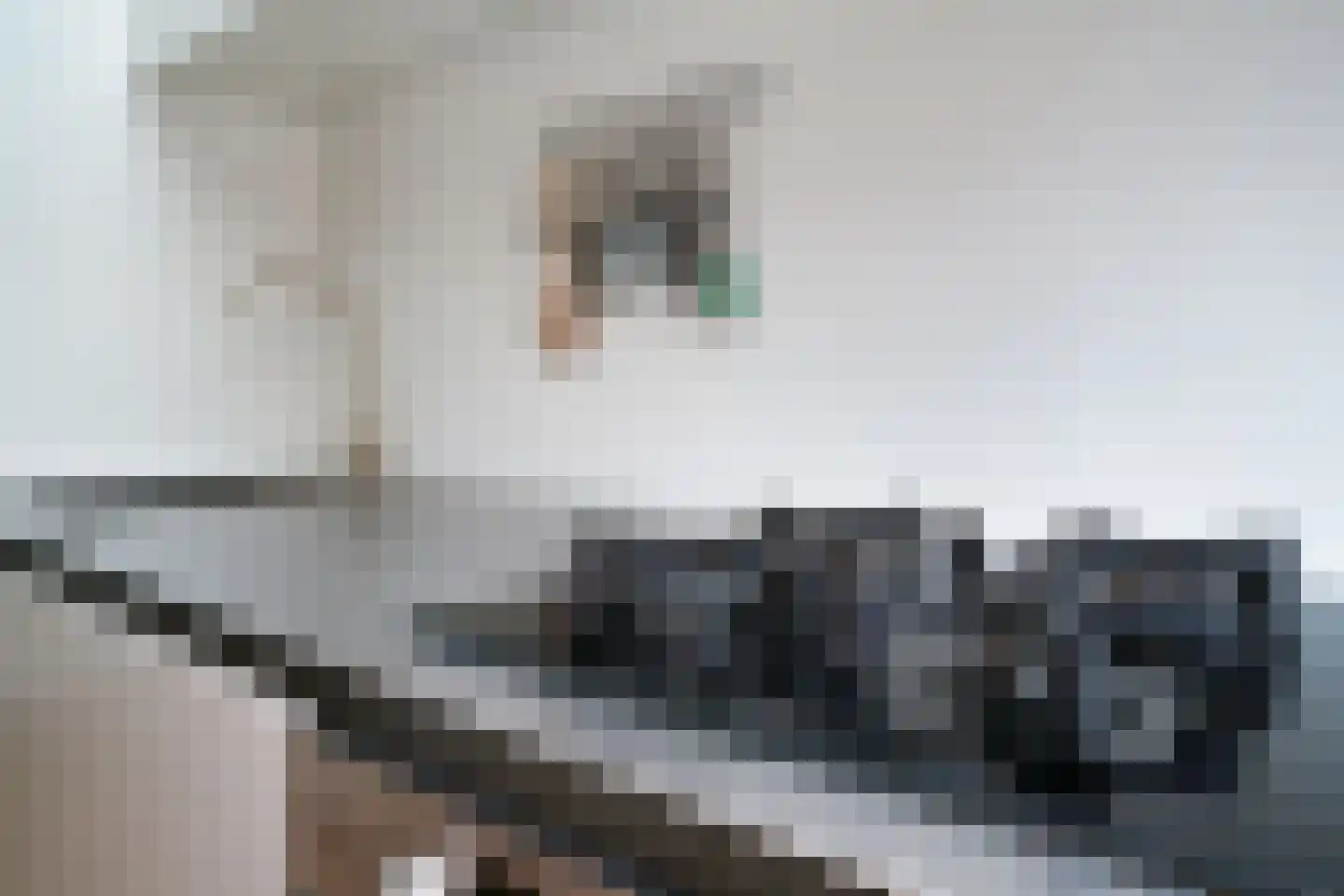 Provenierssingel 73 B 02A Rotterdam thumbnail 16