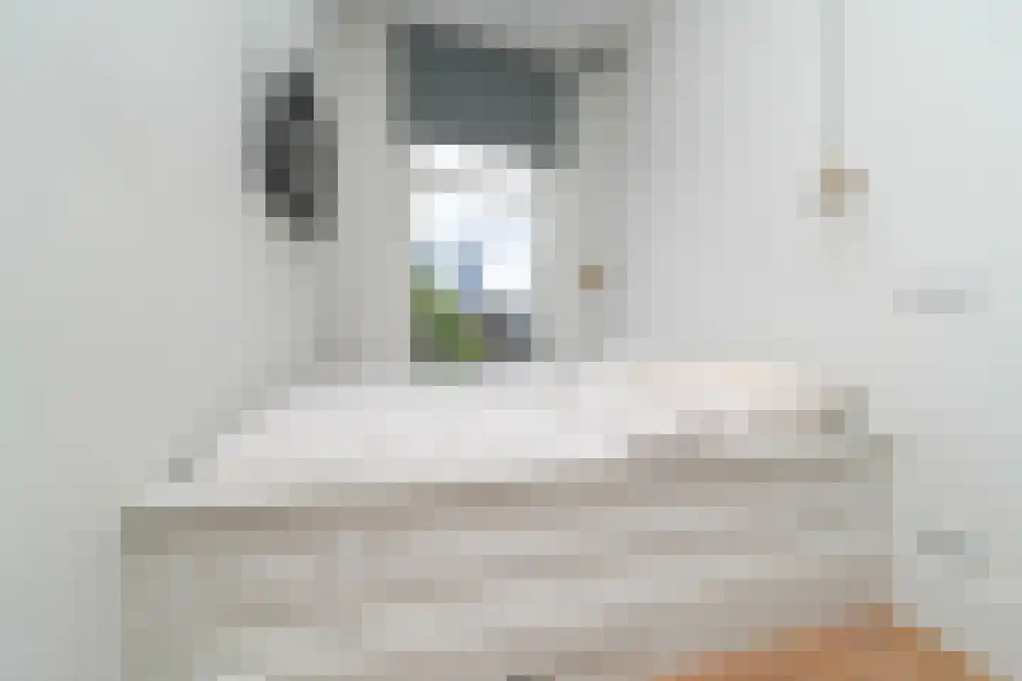 Provenierssingel 73 B 02A Rotterdam thumbnail 21