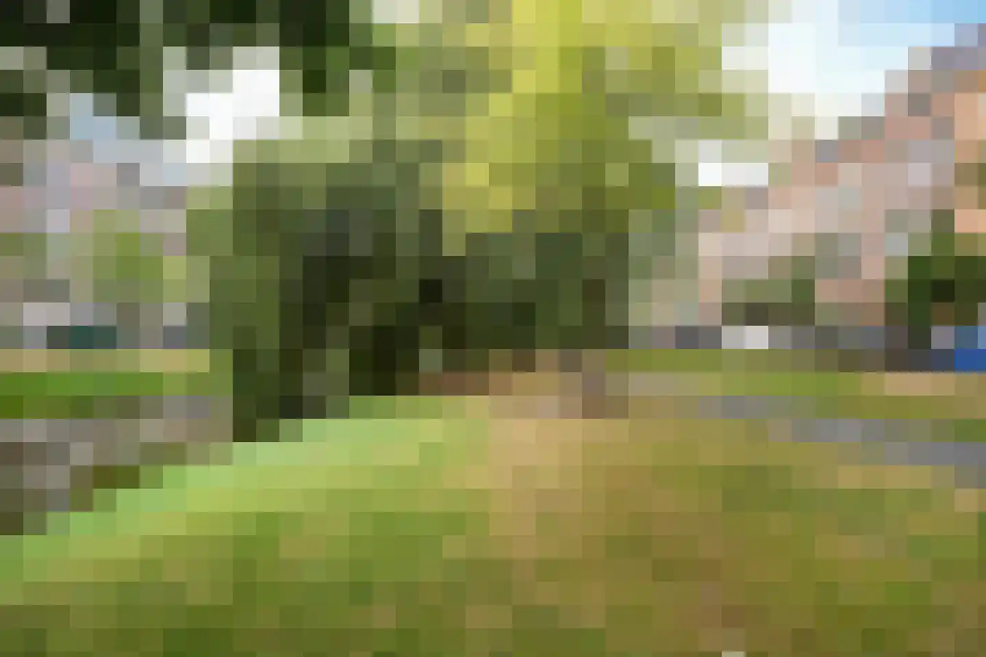 Provenierssingel 73 B 02A Rotterdam thumbnail 23