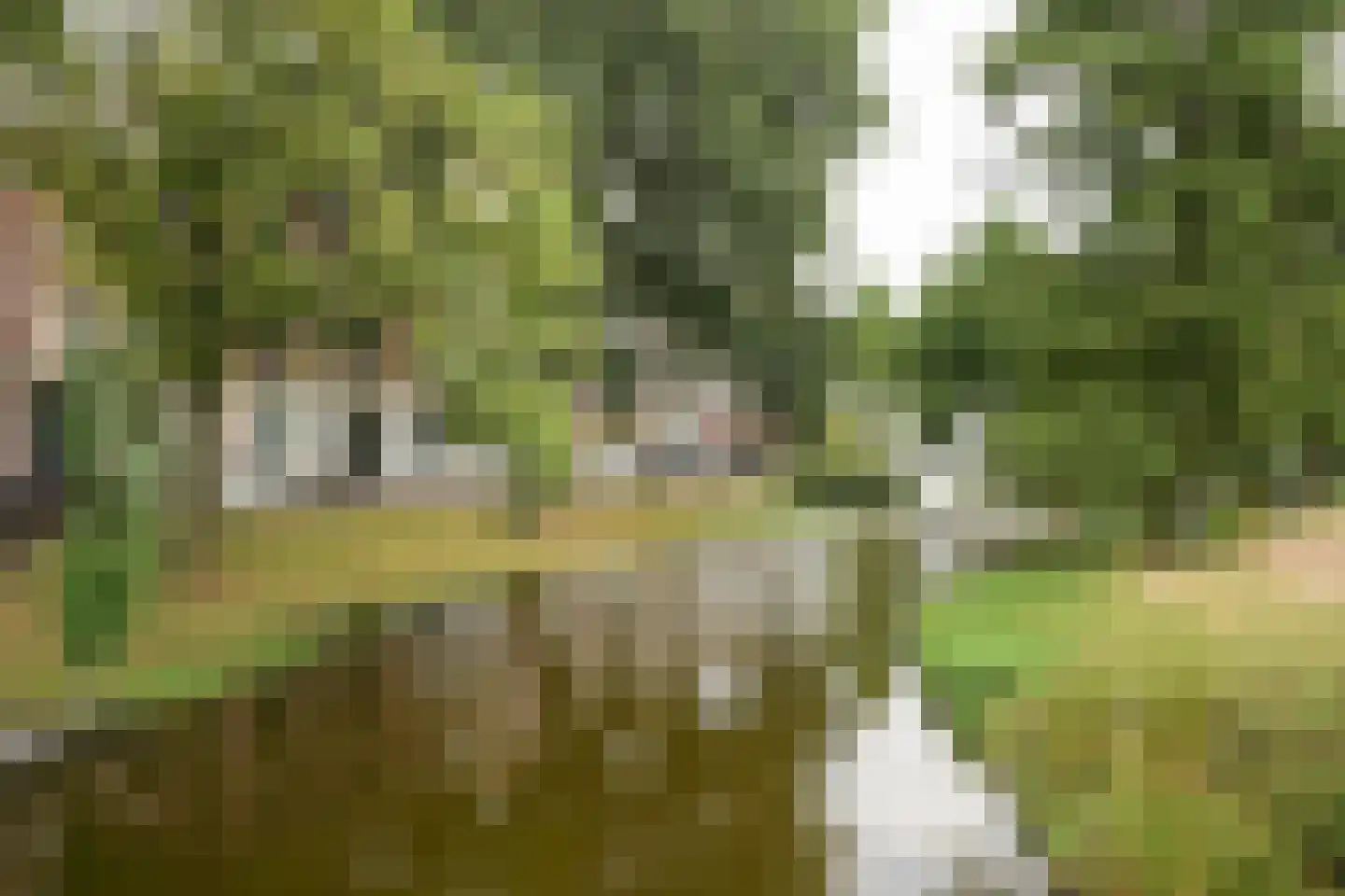 Provenierssingel 73 B 02A Rotterdam thumbnail 25