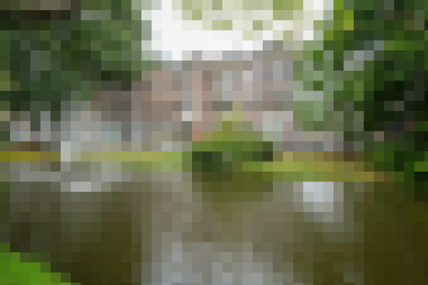 Provenierssingel 73 B 02A Rotterdam thumbnail 26