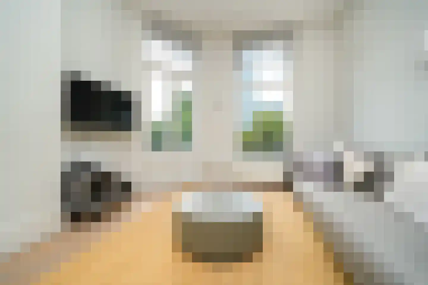 Provenierssingel 73 B 02A Rotterdam thumbnail 4