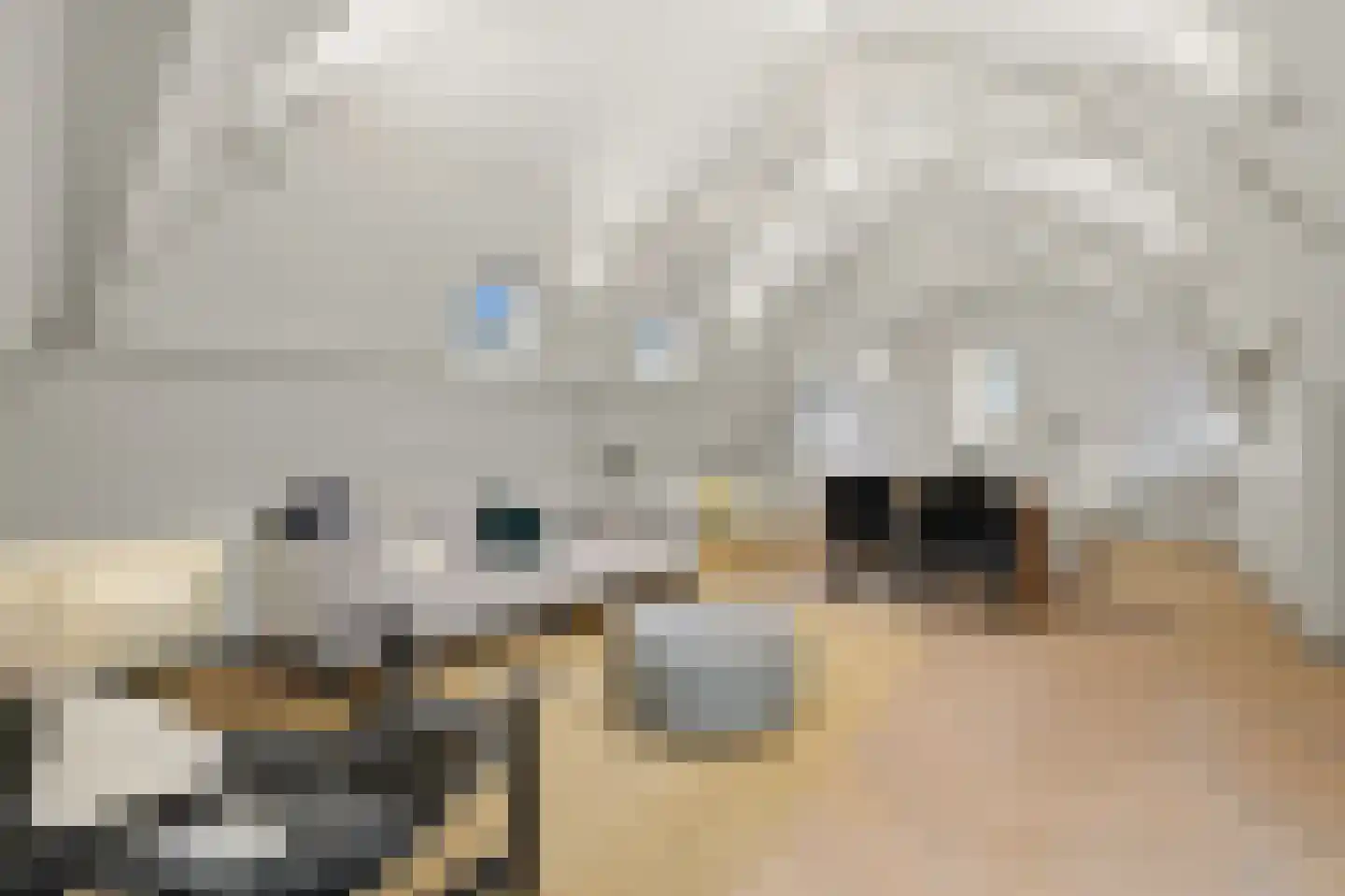 Provenierssingel 73 B 03 Rotterdam thumbnail 10