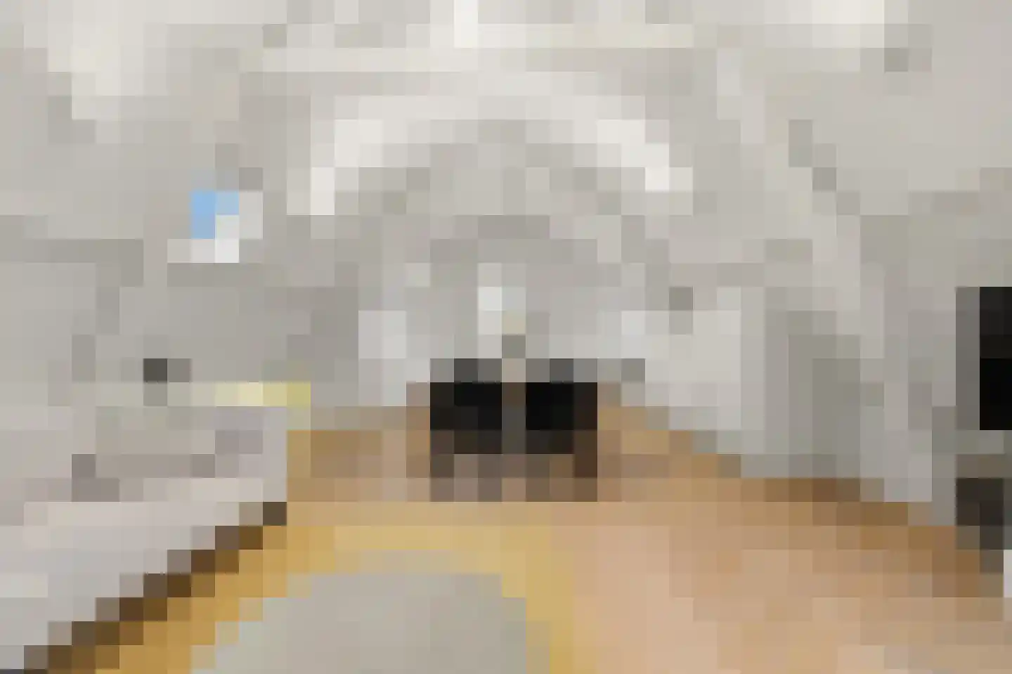 Provenierssingel 73 B 03 Rotterdam thumbnail 11