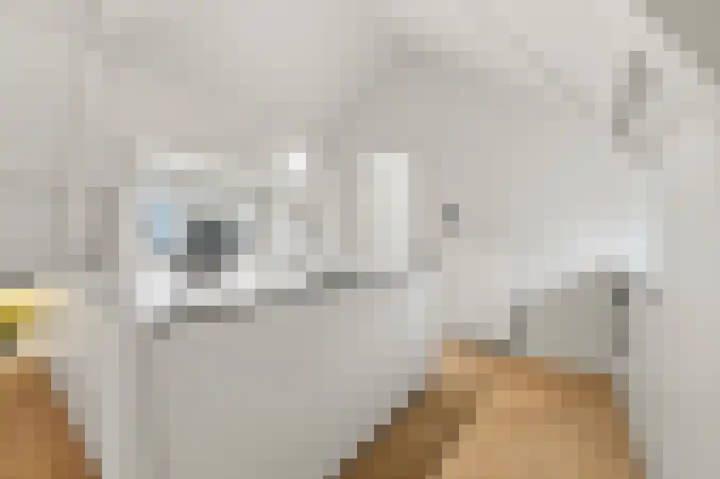 Provenierssingel 73 B 03 Rotterdam thumbnail 14