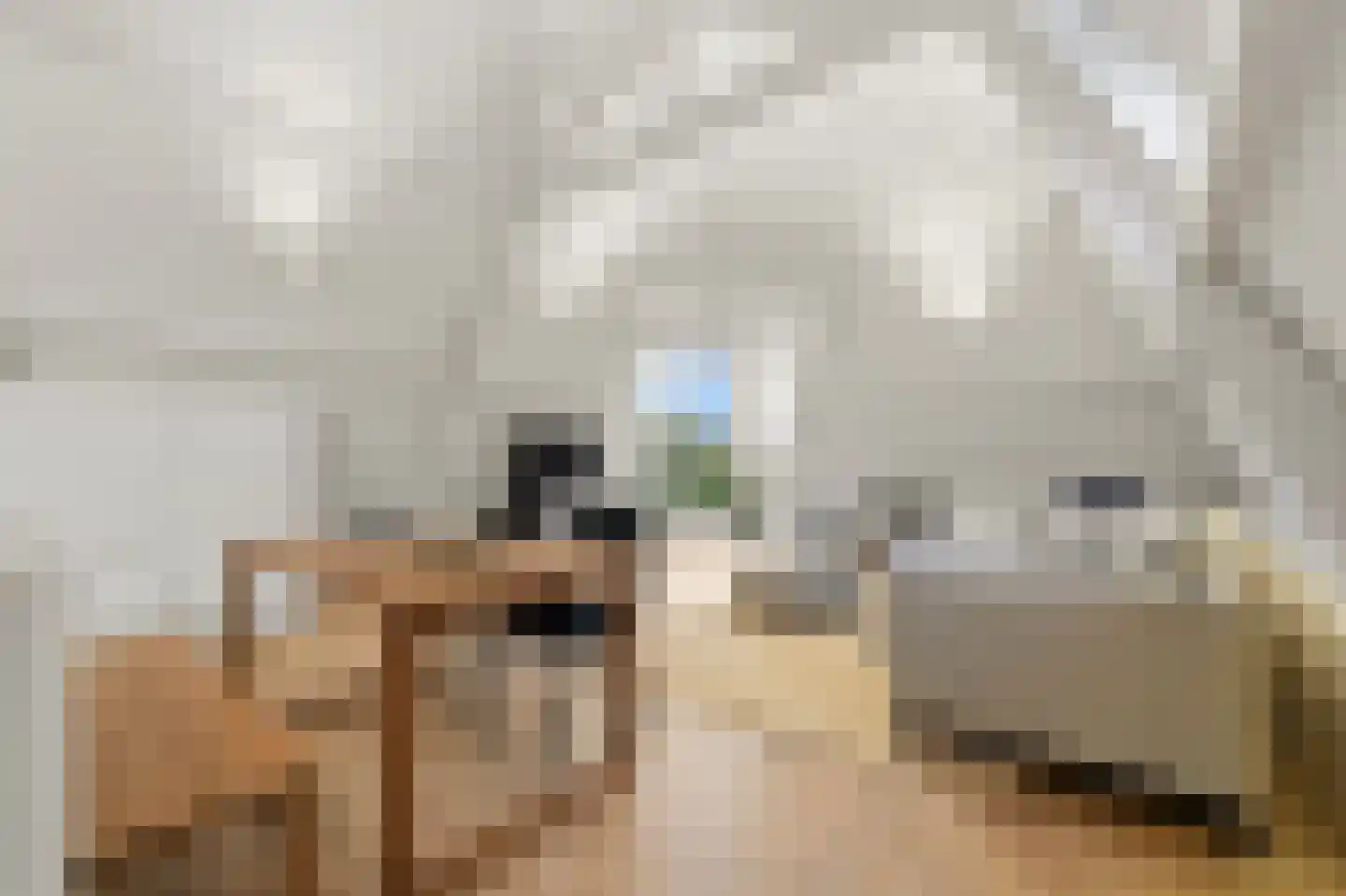 Provenierssingel 73 B 03 Rotterdam thumbnail 4