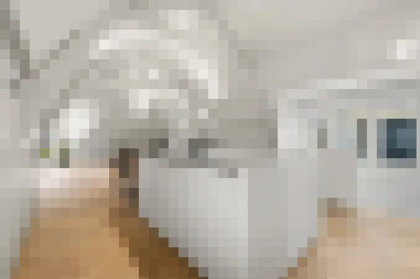 Provenierssingel 73 B 03 Rotterdam thumbnail 9