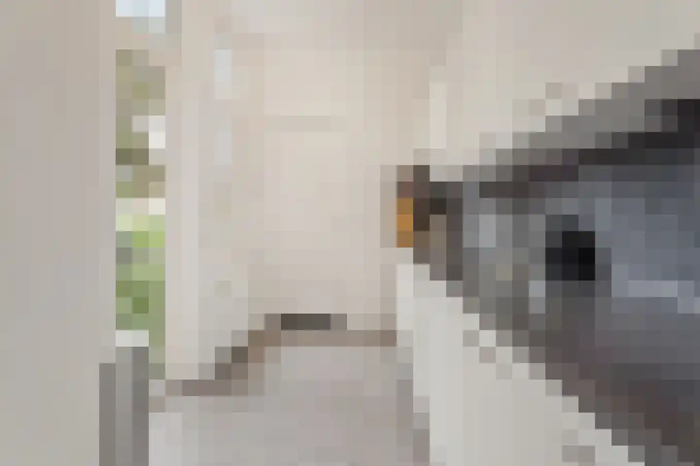 Provenierssingel 75 A 01 Rotterdam thumbnail 17
