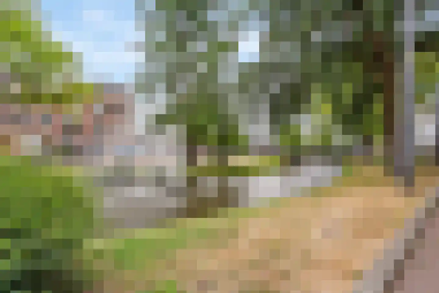 Provenierssingel 75 A 01 Rotterdam thumbnail 27