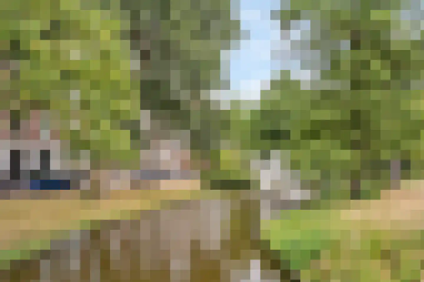 Provenierssingel 75 A 01 Rotterdam thumbnail 29