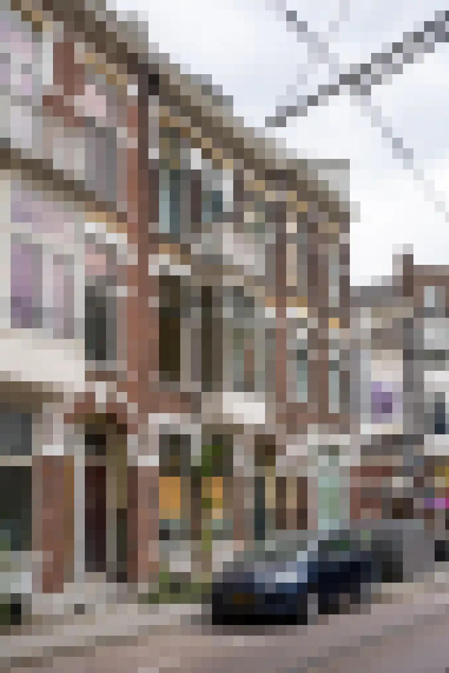 Provenierssingel 75 A 01 Rotterdam thumbnail 30