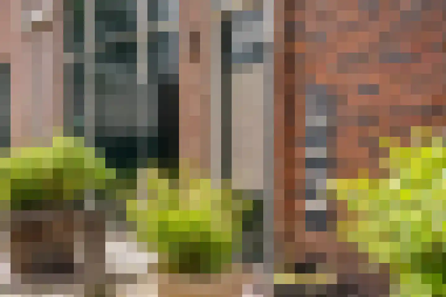 Provenierssteeg 10 Amersfoort thumbnail 4