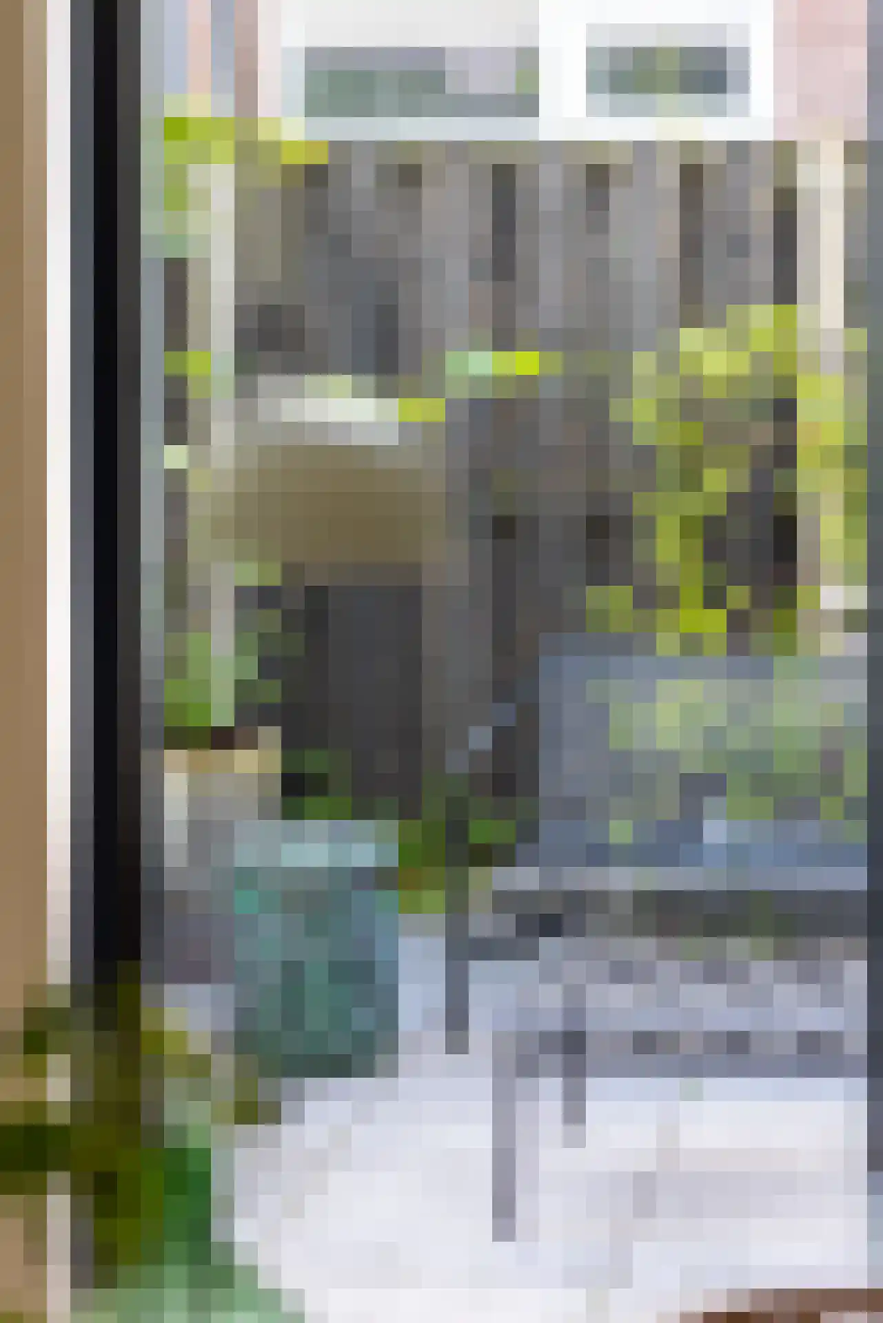 Proveniersstraat 11 Rotterdam thumbnail 15