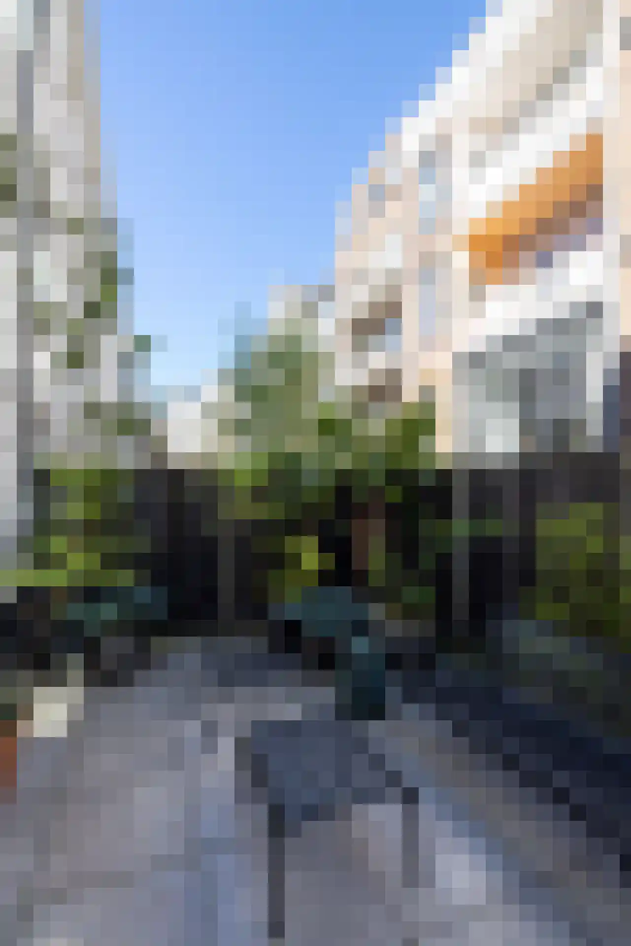 Proveniersstraat 11 Rotterdam thumbnail 17