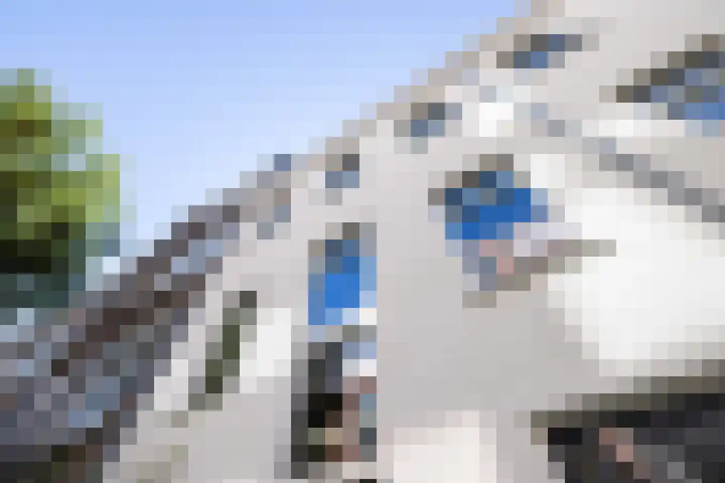 Proveniersstraat 11 Rotterdam thumbnail 20