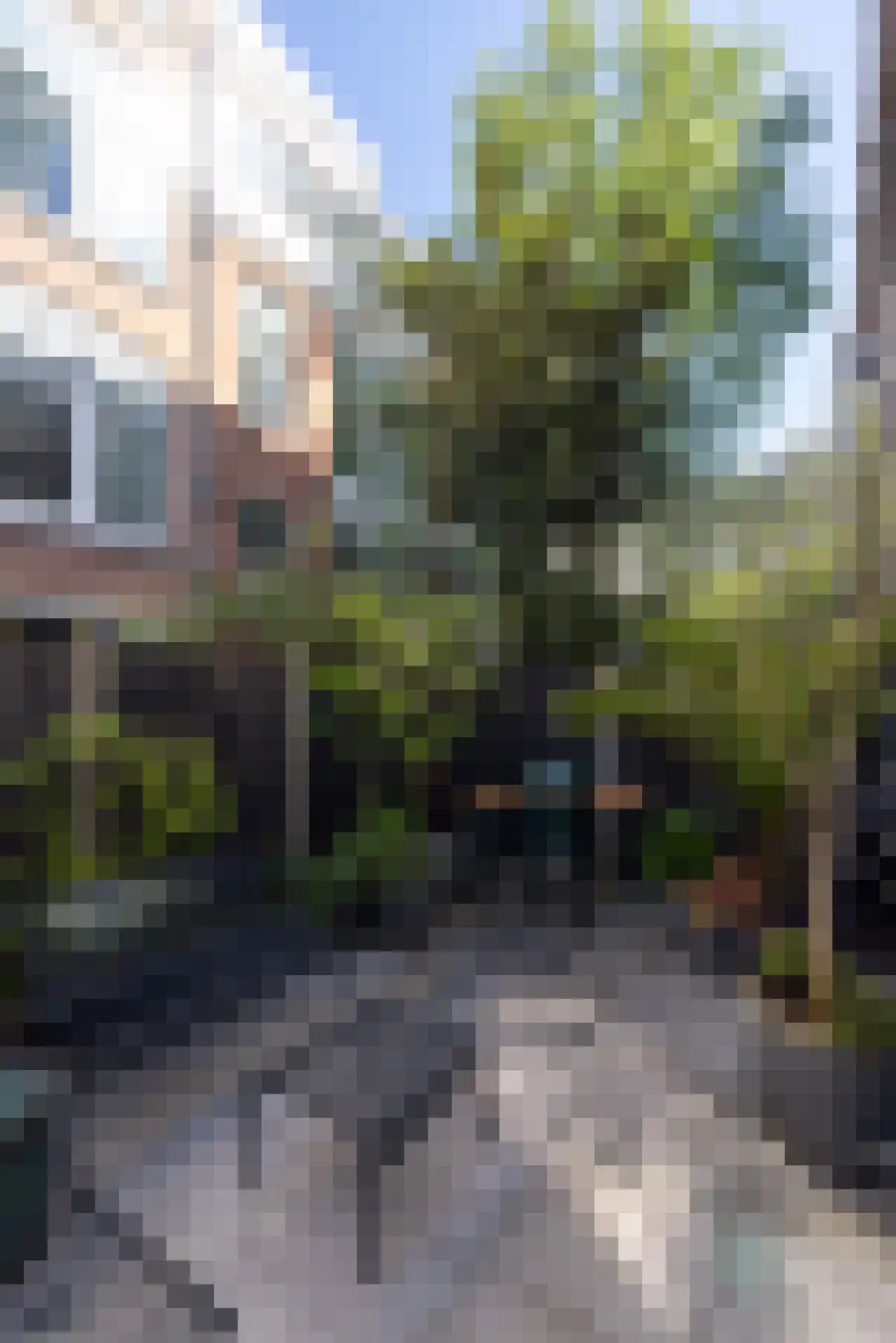 Proveniersstraat 11 Rotterdam thumbnail 21