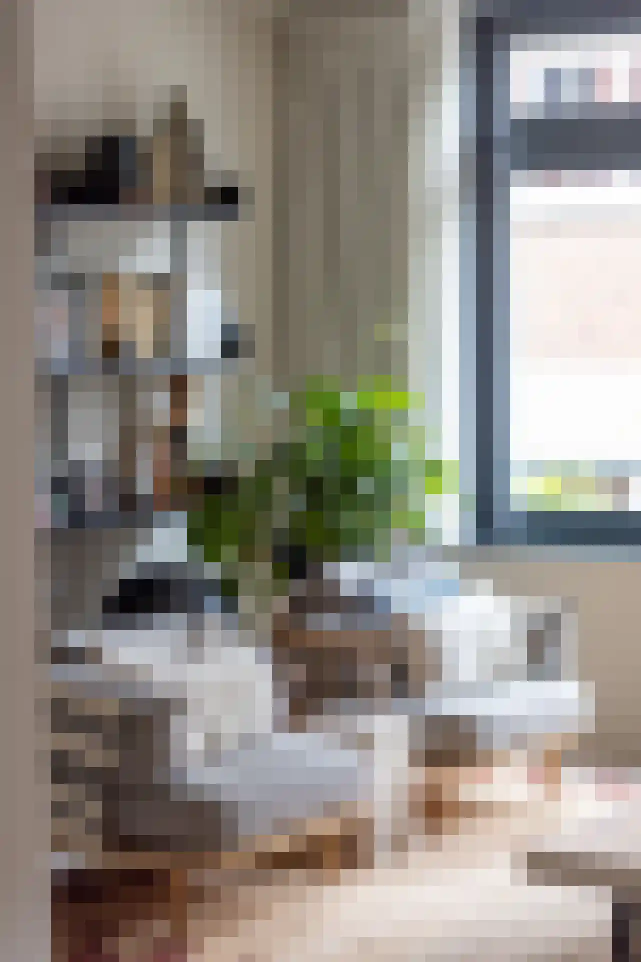 Proveniersstraat 11 Rotterdam thumbnail 25