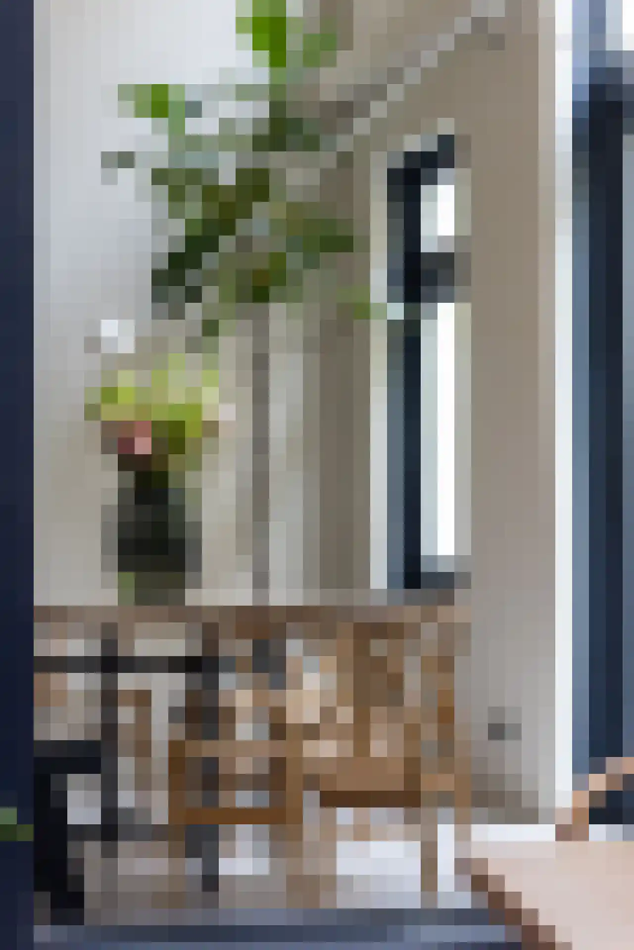 Proveniersstraat 11 Rotterdam thumbnail 8