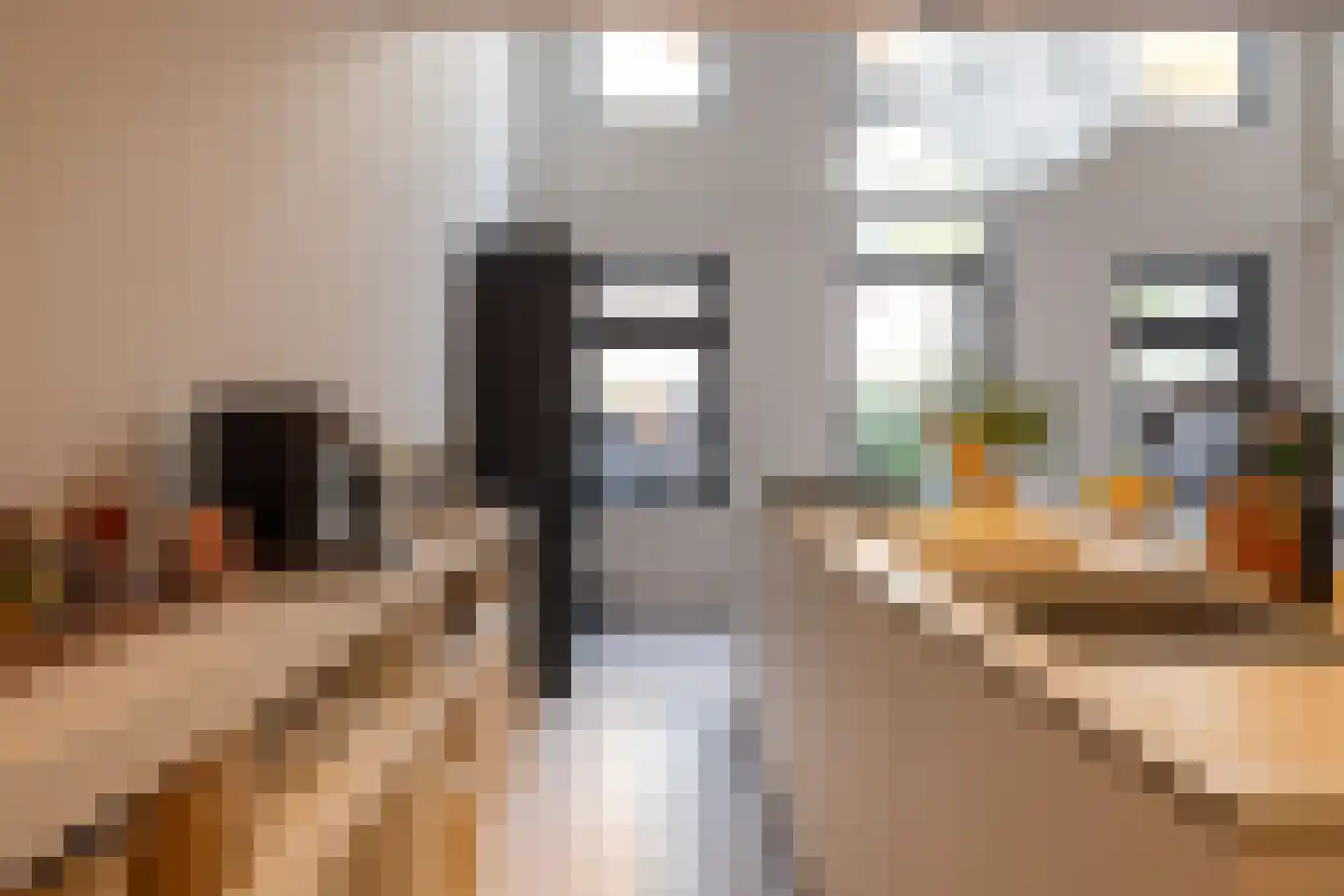 Proveniersstraat 15 Rotterdam thumbnail 12