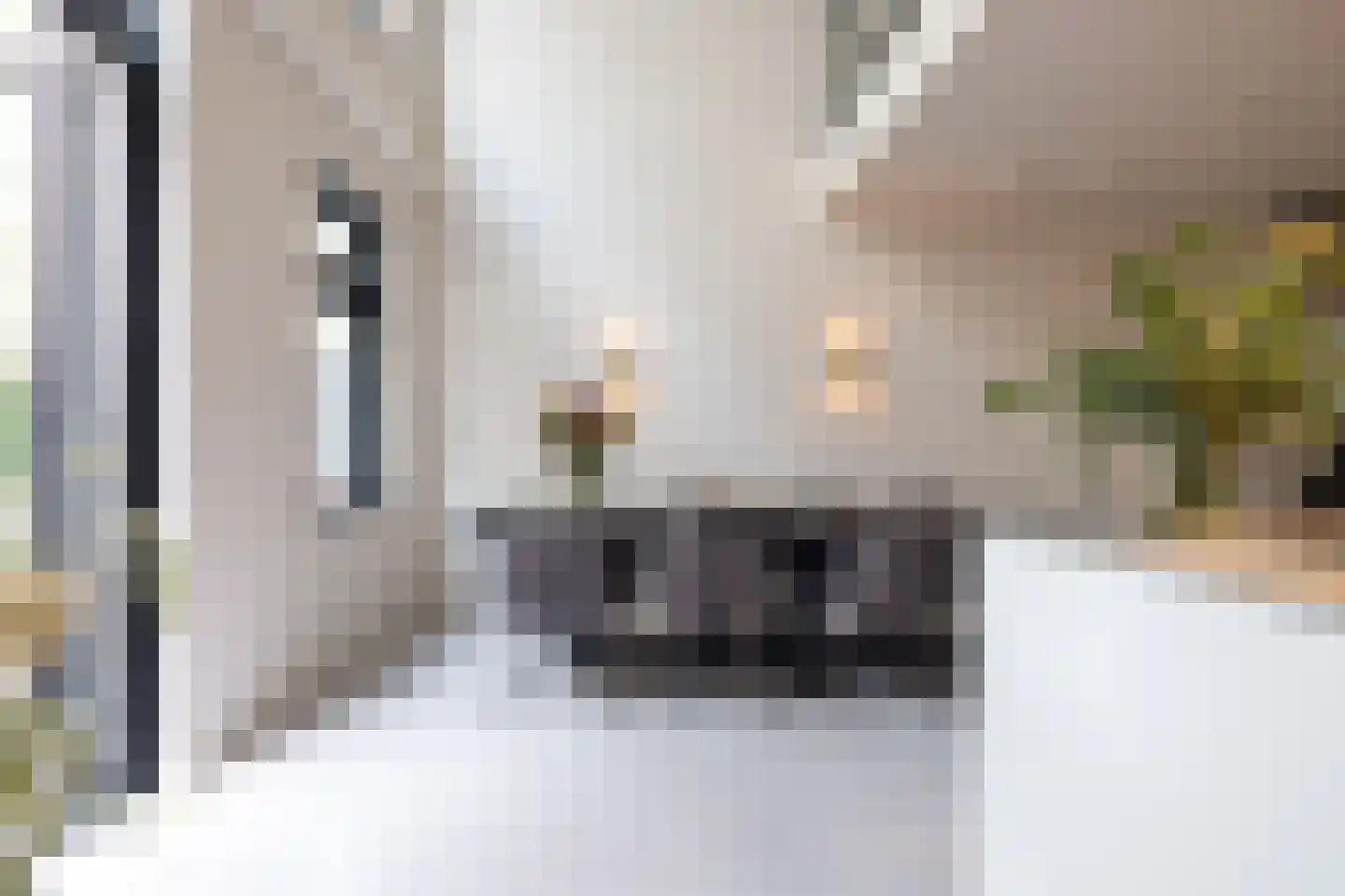 Proveniersstraat 15 Rotterdam thumbnail 13